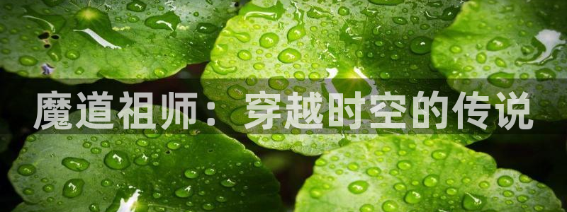 age动漫下载网址