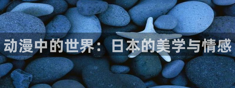 age动漫下载入口：动漫中的世界：日本的美学与情感