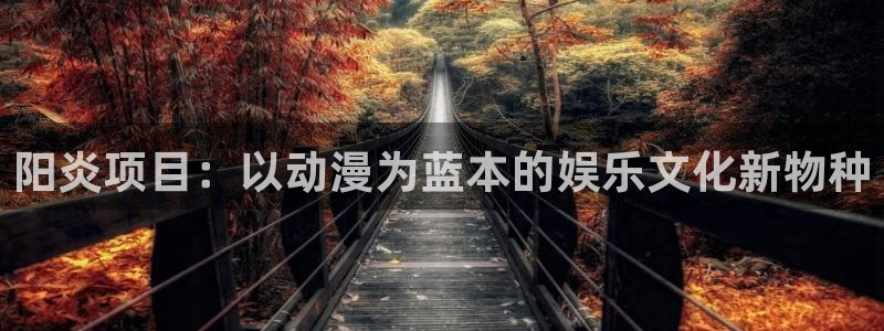 age动漫官网下载ios：阳炎项目：以动漫为蓝本的娱乐文化新物种