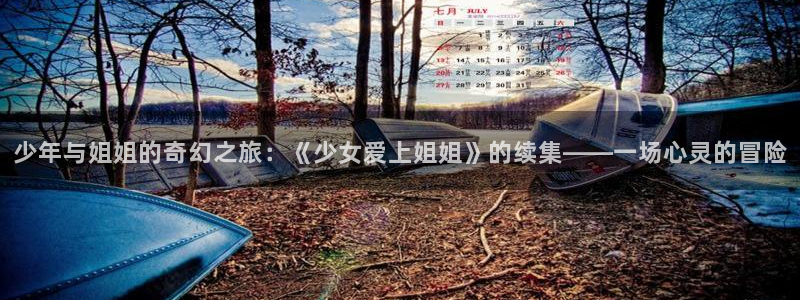 怎么下载age动漫：少年与姐姐的奇幻之旅：《少女爱上姐姐》的续集——一场心灵的冒险