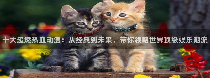 age动漫官方入口：十大超燃热血动漫：从经典到未来，带你领略世界顶级娱乐潮流