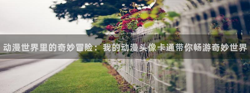 age动漫正版：动漫世界里的奇妙冒险：我的动漫头像卡通带你畅游奇妙世界